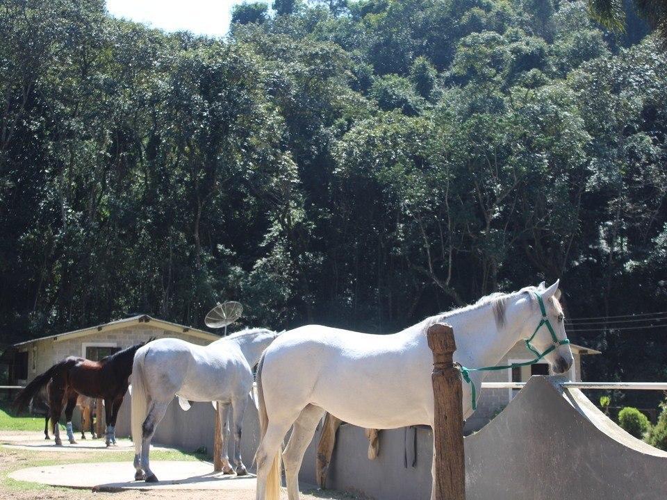 Hotel Fazenda Apm Caieiras Exterior foto